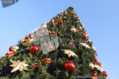 Image of Xmas Tree