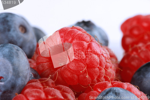 Image of juicy fruits