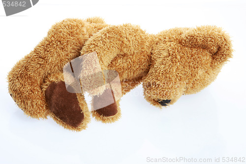 Image of side Teddy bear
