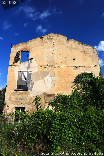 Image of overgrown house