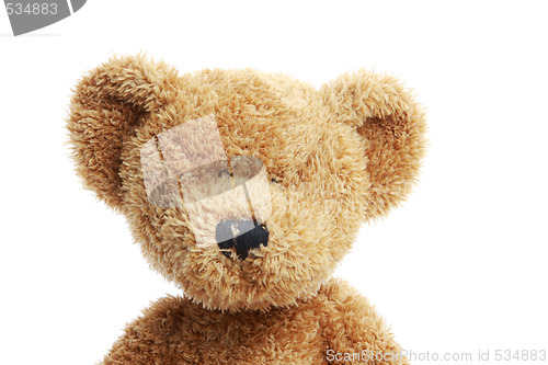Image of stuffed bear
