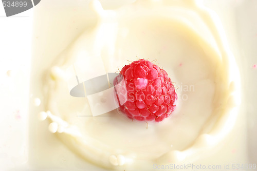 Image of raspberry splash