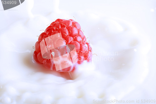 Image of red splash