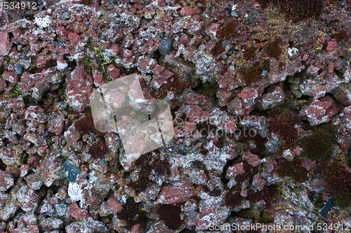 Image of lava rock