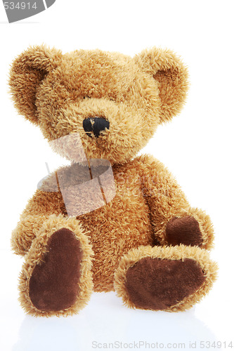 Image of Teddy bear