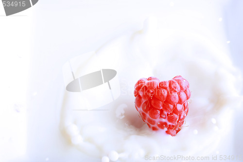 Image of milk splash