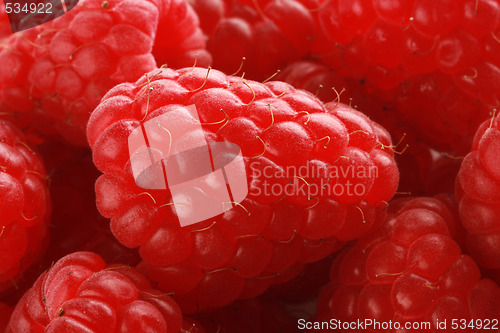 Image of ripe raspberries
