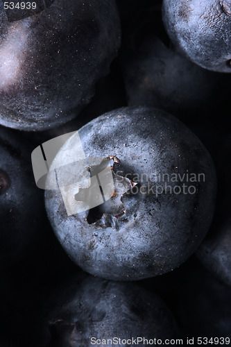 Image of macro blueberry background