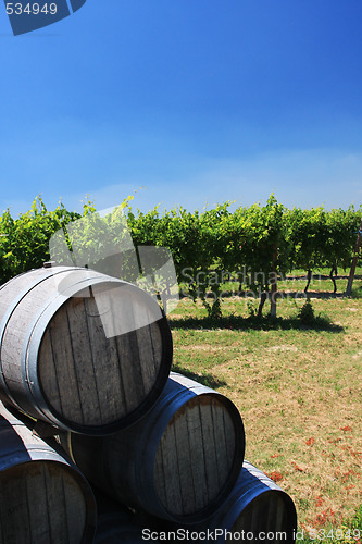 Image of barrels of wine