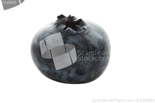 Image of one blueberry