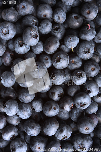 Image of fresh blueberry background