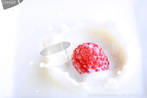 Image of fresh splashing berry
