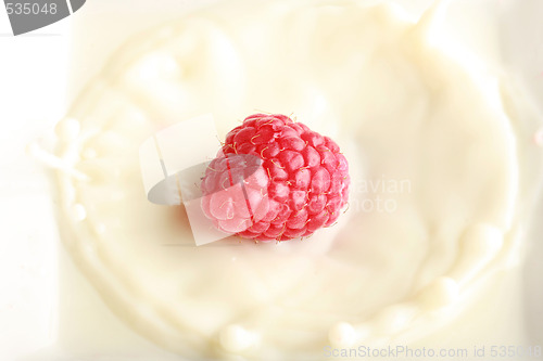 Image of splashing raspberry