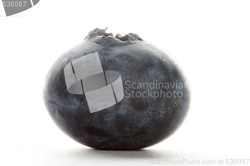 Image of blueberry on white