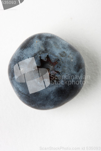 Image of blueberry macro