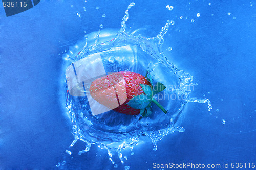 Image of freshness