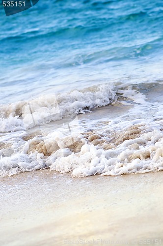 Image of Waves breaking on tropical shore