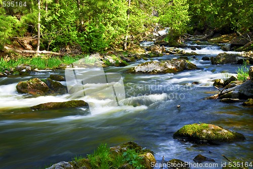 Image of River through woods