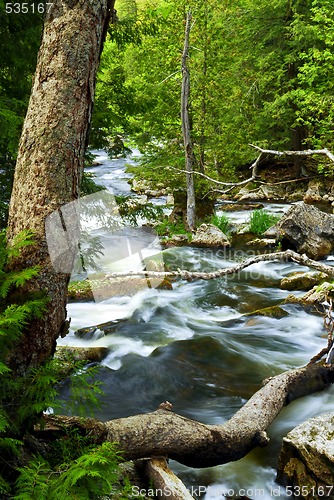 Image of River through woods