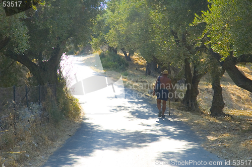 Image of Walking in sunshine