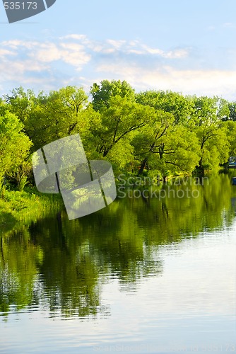 Image of Trees reflecting in river