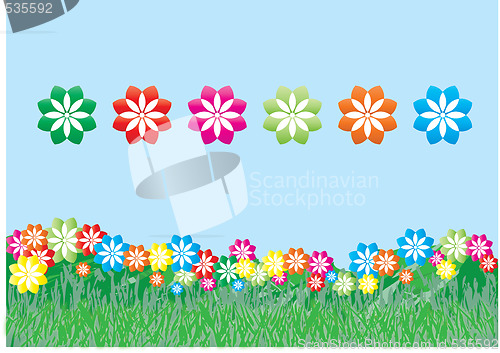 Image of flower field