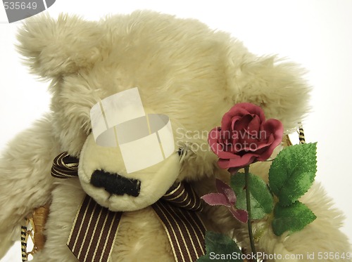 Image of teddy bear with a red rose