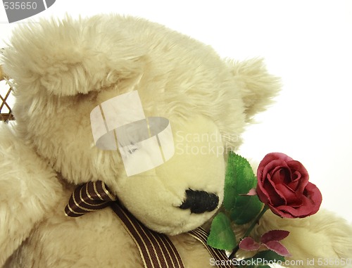 Image of teddy bear with a red rose