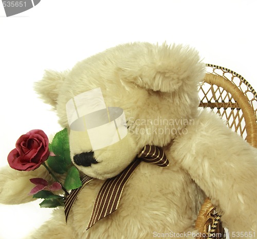 Image of teddy bear with a red rose