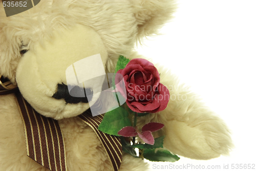 Image of teddy bear with a red rose