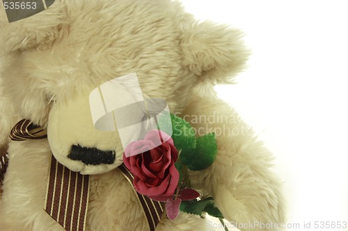 Image of teddy bear with a red rose