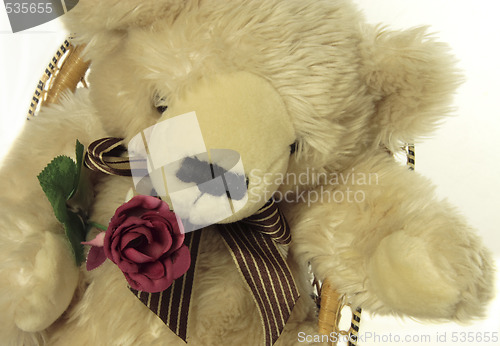Image of teddybear with a red rose