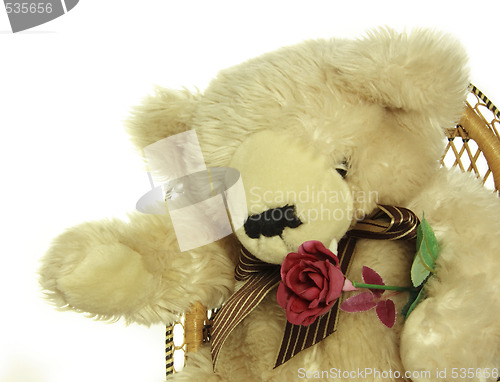 Image of teddybear with a red rose