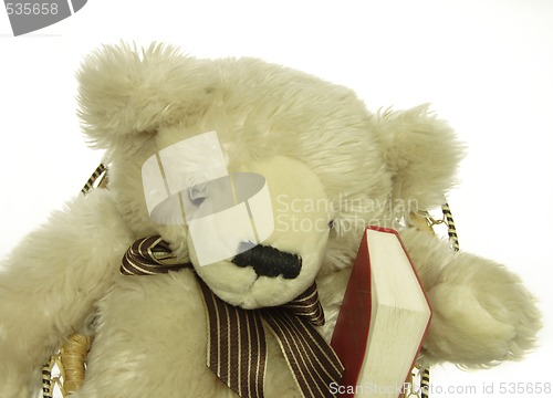 Image of teddy bear with a red psalm book