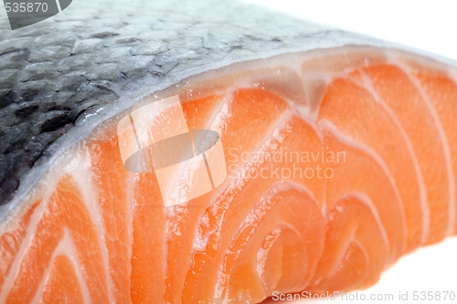 Image of Close up photo of fresh salmon