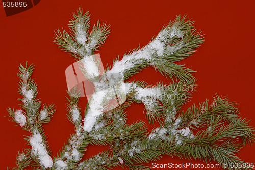 Image of Christmas