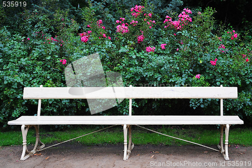 Image of Bench and roses