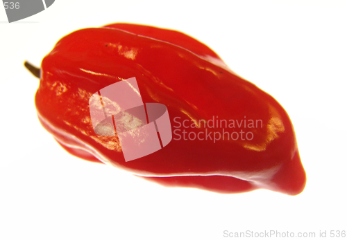 Image of Red Paprika