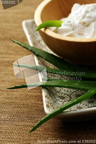 Image of aloe face cream