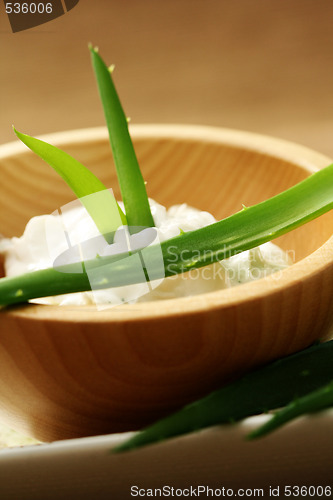 Image of aloe face cream