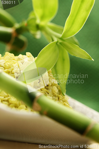 Image of bath salt with green bamboo