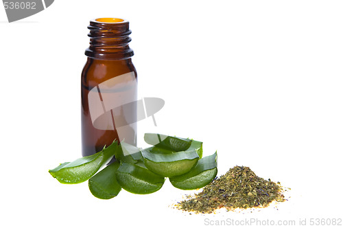 Image of aloe vera - alternative therapy