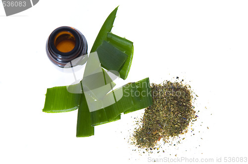 Image of aloe vera - alternative therapy