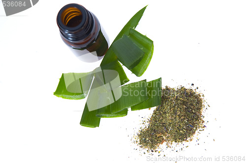 Image of aloe vera - alternative therapy