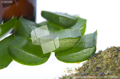 Image of aloe vera - alternative therapy