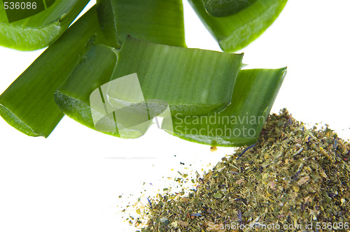 Image of aloe vera - alternative therapy