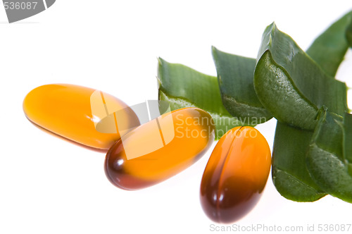 Image of aloe vera - alternative therapy