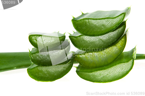 Image of aloe vera - alternative therapy