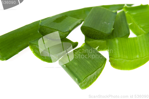 Image of aloe vera - alternative therapy