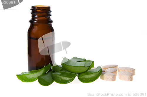 Image of aloe vera - alternative therapy